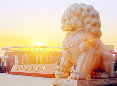 �߼���ѧʦ��ʦ�罨��ר��